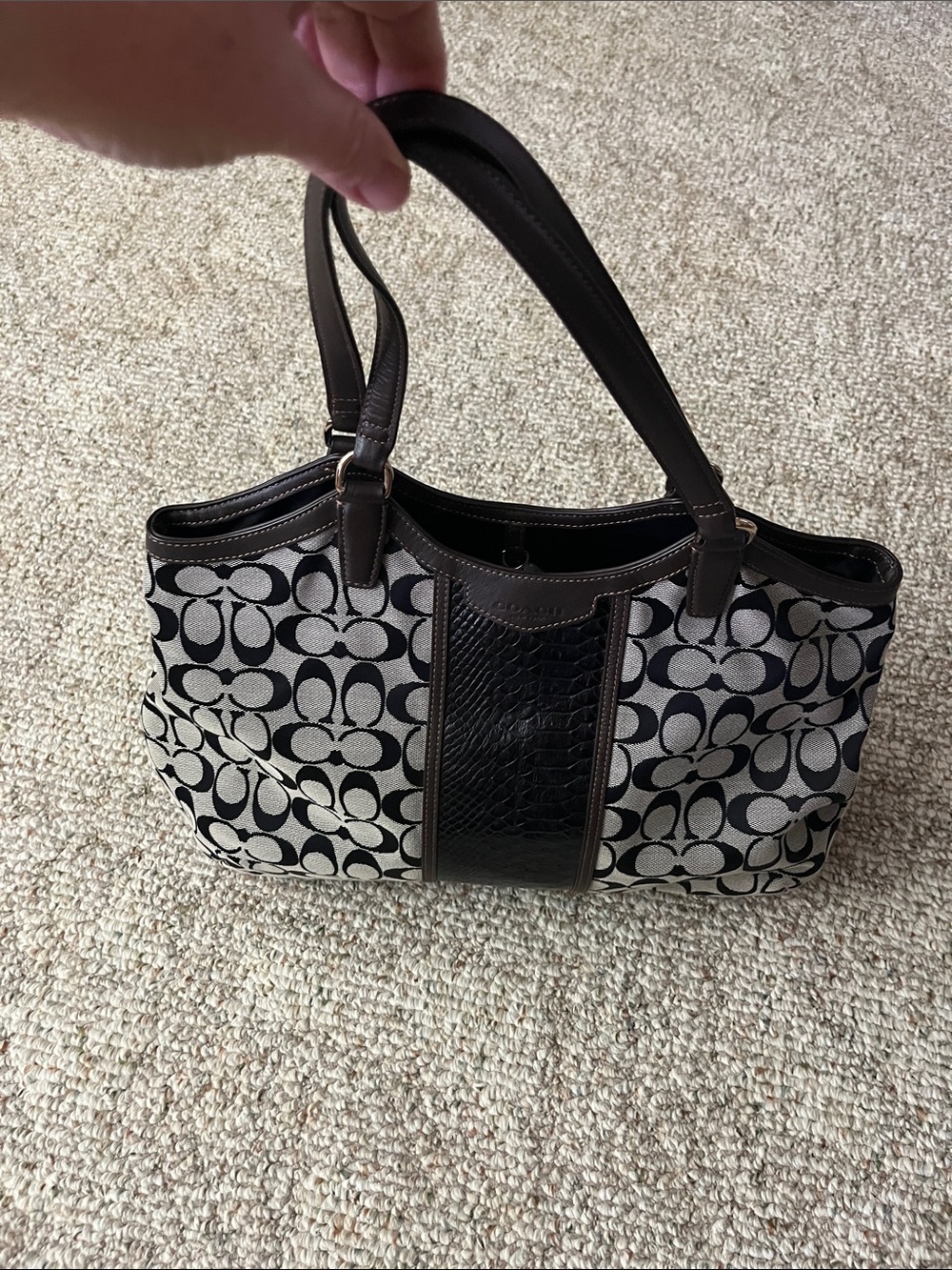 Coach Signature Canvas Python Pattern Shoulder Tote